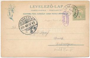 1903 Felső-magyarországi családi csoport. Feitzinger Ede 214. Auto-Chrom 1902/12. / Oberungarische F...