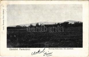 1904 Pankota, Pancota; Herczeg Súlkovsky féle sörfőzde. Beamter Ödön kiadása / brewery (EK)