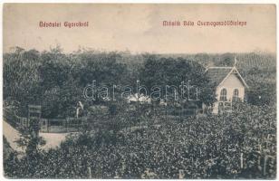 1911 Gyorok, Ghioroc; Mihalik Béla Csemegeszőlő telepe / table grape farm (EK)