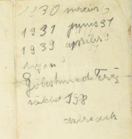 1944 Bp., a Svájci Követség által kiállított menlevél (Schutzpass) Reich Márton és családja részére,...