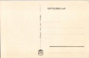 Lice, Licze, Licince; Czékus László kastély, Dr. Hirsnyai Heinzelmann kastély. Hangya szövetkezet ki...