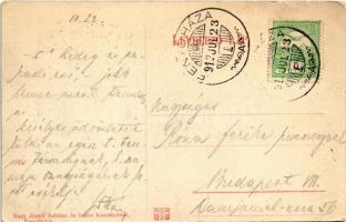 1912 Fenyőháza, Lubochna; látkép. Nagy József kiadása / general view (szakadás / tear)