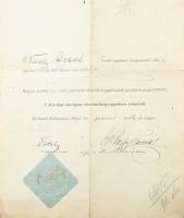 cca 1885-1948 Nagy Dezső (1868-1948 után) jogász, törvényszéki bíró okmányai, kinevezései bíróvá klf...