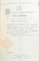 cca 1885-1948 Nagy Dezső (1868-1948 után) jogász, törvényszéki bíró okmányai, kinevezései bíróvá klf...