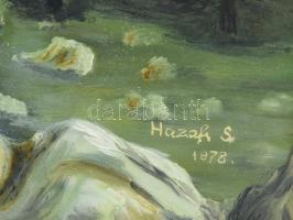 hazafi S jelzéssel: Vízparti táj. Olaj, farost. 50x70 cm. Dekoratív fakeretben