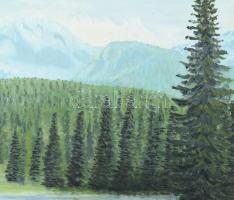 hazafi S jelzéssel: Vízparti táj. Olaj, farost. 50x70 cm. Dekoratív fakeretben