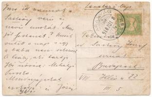 1910 Aranyág, Herneacova (jud. Timis, Temes); családi portré / family photo (gyűrődések / creases)