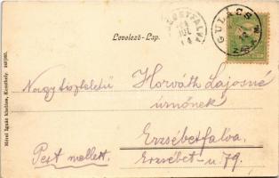 1904 Balatonmelléki szüret, bográcsozás. Mérei Ignác 249/1905