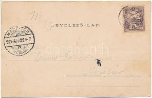 1901 Nagyszeben, Hermannstadt, Sibiu; Am Schantabach, Kleiner Negoi, Surul, Auf dem Oncsest. Verl. d...