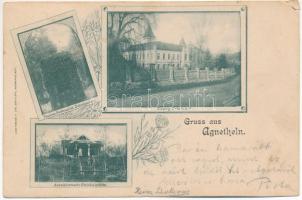 1901 Szentágota, Agnetheln, Agnita; Evang. Schule A.B., Fronius Denkmal im Schulgarten, Aussichtswarte Steinburgshöhe / Evangélikus templom, szobor, kilátó. Jos. Drotleff / Lutheran school, monument, look-out place. Art Nouveau, floral (EK)
