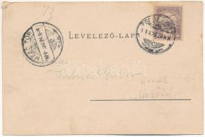 1901 Szentágota, Agnetheln, Agnita; Evang. Schule A.B., Fronius Denkmal im Schulgarten, Aussichtswar...