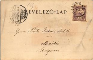 1901 Nagyszeben, Hermannstadt, Sibiu; Grosser Ring / Fő tér, templom, lovashintók. Carl F. Jickeli /...