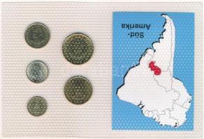 Paraguay 1990-1995. 1G-100G (5xklf) vákuumcsomagolt forgalmi összeállítás T:UNC
Paraguay 1990-1995....