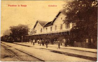 1907 Sunja, Kolodvor / vasútállomás, vonat, gőzmozdony / railway station, locomotive, train (fl)