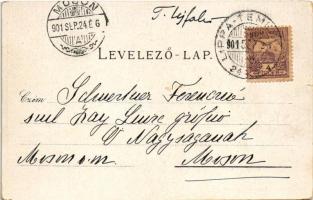 1901 Lippa, Lipova; utca. Gregor Fischer kiadása / street (szakadás / small tear)