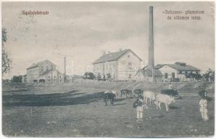 1915 Gyulafehérvár, Karlsburg, Alba Iulia; Johanna gőzmalom és villamos telep. Weiss Bernáth kiadása / mill and electric plant, power station + &quot;GYULAFEHÉRVÁR P.U.&quot; (szakadás / tear)