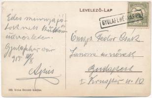 1915 Gyulafehérvár, Karlsburg, Alba Iulia; Johanna gőzmalom és villamos telep. Weiss Bernáth kiadása...