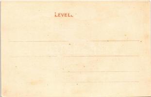 Lugos, Lugoj; Király és Széchenyi utca sarok, Steiner Adolf, Hecker János, Fried Dávid üzlete / stre...