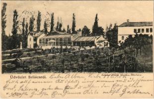 1902 Szliács, Szliácsfürdő, Kúpele Sliac; Üvegház, kert. Kerekes Miklós kiadása / greenhouse, garden + &quot;ZÓLYOM-BREZÓ - ZÓLYOM 98. SZ.&quot; vasúti mozgóposta bélyegző