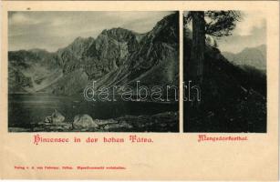 Tátra, Magas-Tátra, Vysoké Tatry; Hinzensee, Mengsdorferthal / Hincói tó, Menguszfalvi völgy. A. von Palocsay kiadása / lake, valley