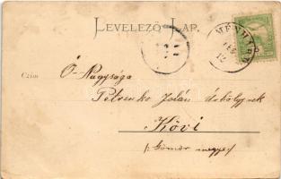 1901 Barlangliget, Höhlenhain, Tatranská Kotlina (Tátra, Magas Tátra, Vysoké Tatry); Társalgó, kaszi...