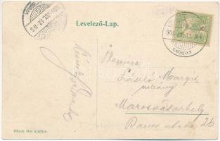 1906 Dicsőszentmárton, Tarnaveni, Diciosanmartin; Rákóczy utca. Hirsch Mór kiadása / street