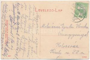 1911 Dicsőszentmárton, Tarnaveni, Diciosanmartin; Takarékpénztár. Dosztál Kálmán "Erzsébet"...