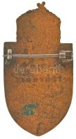 Osztrák-Magyar Monarchia ~1915. "A Nemzeti Áldozatkészség Szobra" zománcozott bronz jelvén...