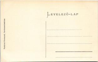 Turócszentmárton, Turciansky Svaty Martin; Cellulózgyár. Moskóczi Ferenczné kiadása / cellulose fact...