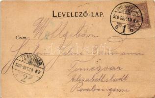 1900 Gyulafehérvár, Karlsburg, Alba Iulia; Városháza, Jakabffy Albert üzlete, Novák Ferenc tér. Weis...