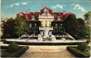 1915 Nagymágocs (Szentes), Gróf Károlyi kastély északi oldala (Rb)