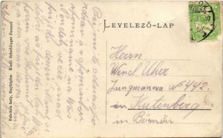 Törökbálint, Villatelep. Izely fényképész felvétele. Scheiblinger Ferenc kiadása (EK)