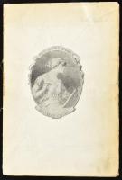 Dr. Thim József: A magyarországi 1848-49-iki szerb fölkelés története. II. köt. Írta és kiadta: - - ...