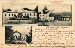 1902 Abony, Gróf Keglevich kastély, Báró Harkányi nyaraló, Antos kastély