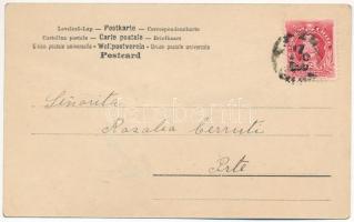 1905 Indián - dekorált képeslap / Indian folklore - decorated