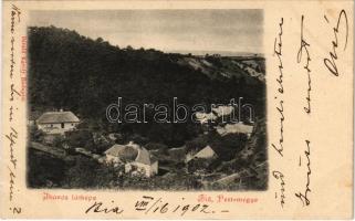 1902 Bia (Biatorbágy, Pest megye), Iharos látképe, villasor. Divald Károly