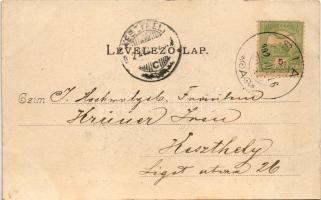 1902 Bia (Biatorbágy, Pest megye), Iharos látképe, villasor. Divald Károly