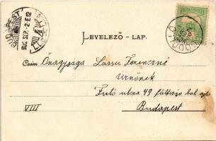 1902 Gödöllő, Állami méhészeti gazdaság, méhkaptár. Nemesánszky Józsefné kiadása (EK)