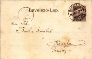 1900 Gyoma (Gyomaendrőd), Postahivatal, református, római katolikus és evangélikus templom, Endrődi ...