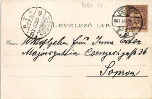 1901 Pozsony, Pressburg, Bratislava; Dunapart. Ottmar Zieher / Donaulände / Danube riverside