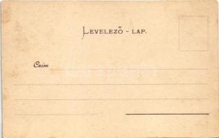 Kaposvár, Fő utca, Mayer Antal üzlete, Zárda utca, Református templom. Hagelman Károly kiadása. Art ...