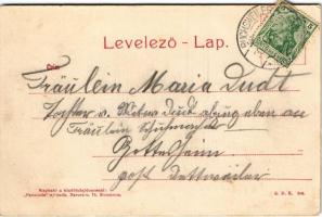 Nyergesújfalu, Sátori kastély. E.D.K. 208. (felületi sérülés / surface damage)