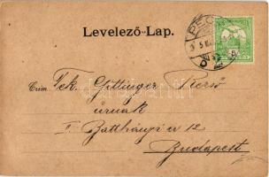 1915 Pécs, Frühweiss völgy, Németh villa. Fischer Ferenc kiadása (EK)