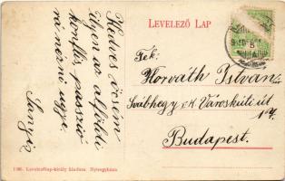 1915 Nyíregyháza, taligás (Rb)