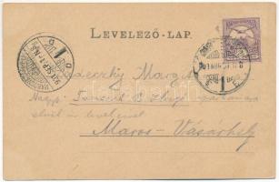 1901 Szebenjuharos, Hohe Rinne, Paltinis; Grüss aus den Siebenbürgischen Karpathen! Negoi-Schutzhütt...