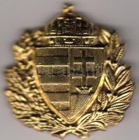 Tábornoki sapka díszjelvény T:I