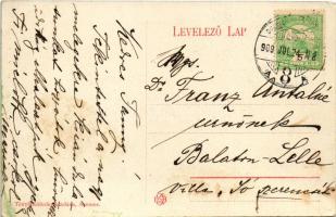 1909 Balatonszemes, Szemes; Felső sétány, villa. Tényi Kálmán kiadása (EK)