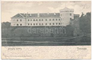 1905 Temesvár, Timisoara; Hunyady kastély. Polatsek kiadása / castle (EB)