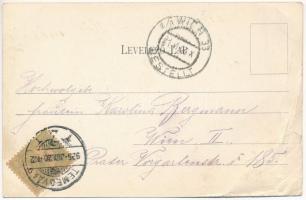 1905 Temesvár, Timisoara; Hunyady kastély. Polatsek kiadása / castle (EB)