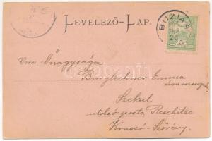 1905 Buziás, Bazár szálloda. Georg Trautman / hotel (EK)